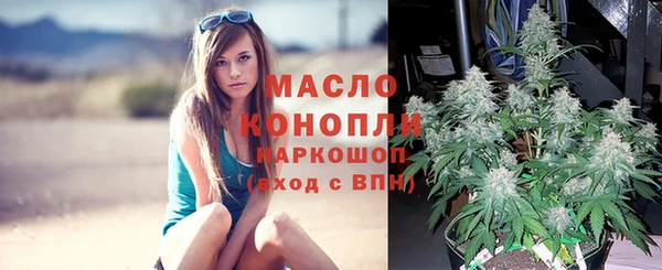 спиды Мегион