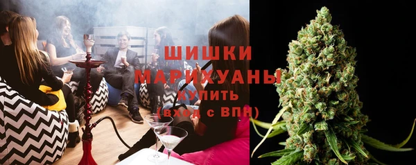 мдпв Михайлов