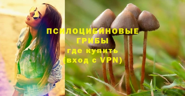 спиды Мегион